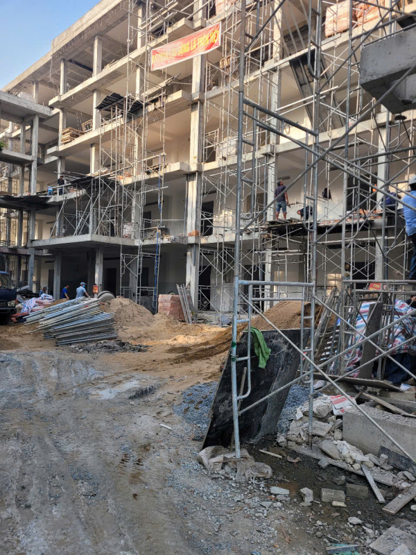 Trang trí nội thất gỗ - trần gỗ ốp tường
